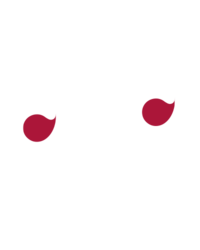 ego-llc.ae